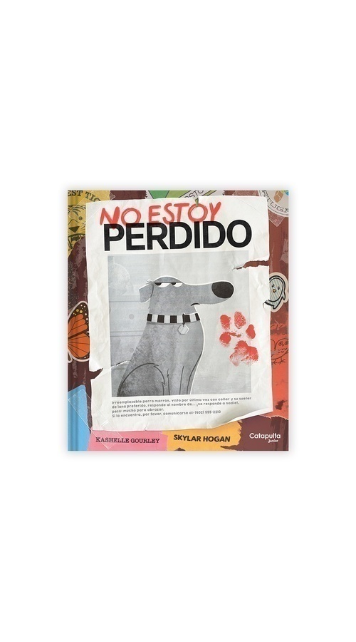 NO ESTOY PERDIDO: KASHELLE